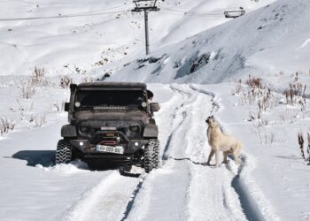 Best Snow and Winter Tires